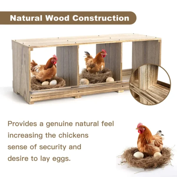 Chicken Nesting Boxes, Compartment Nest Box Wall Mount