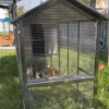 Mobile Metal Ecological Free-Ranging Free-range Chicken Coop
