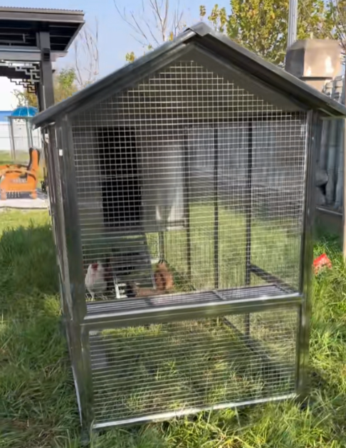 Mobile Metal Ecological Free-Ranging Free-range Chicken Coop
