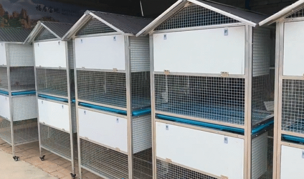 Sturdy Rust-Proof Chicken Coop with Brake Casters - Large Space Chicken Villa w/ Egg Laying Area, Stainless Steel Trough for Chickens, Ducks, Rabbits & Small Poultry