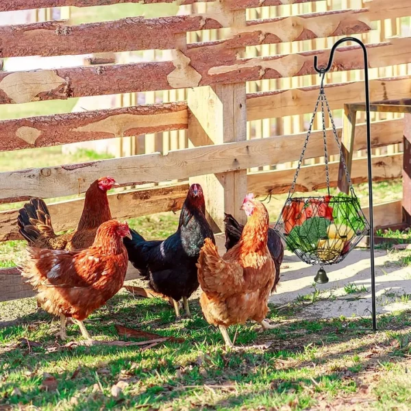 Hanging Chicken Feeding Station, Veggie Treat Ball Boredom Toys for Chicken/Hens/Ducks/Quails/Parrots