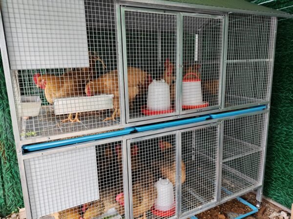 Sturdy Rust-Proof Chicken Coop with Brake Casters - Large Space Chicken Villa w/ Egg Laying Area, Stainless Steel Trough for Chickens, Ducks, Rabbits & Small Poultry