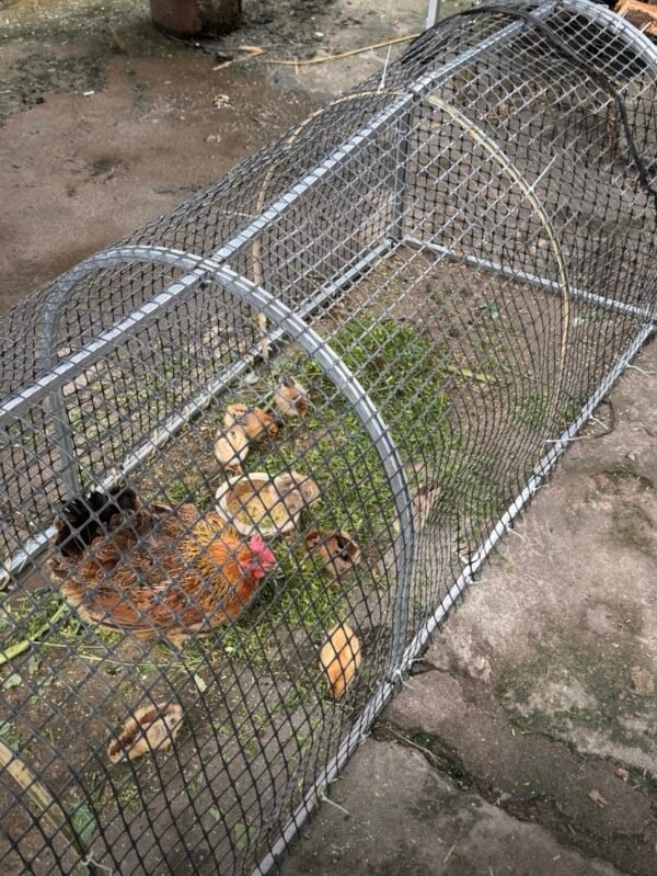 Movable Folding Chicken Tunnel, Modular Assembled Chicken Coop Run