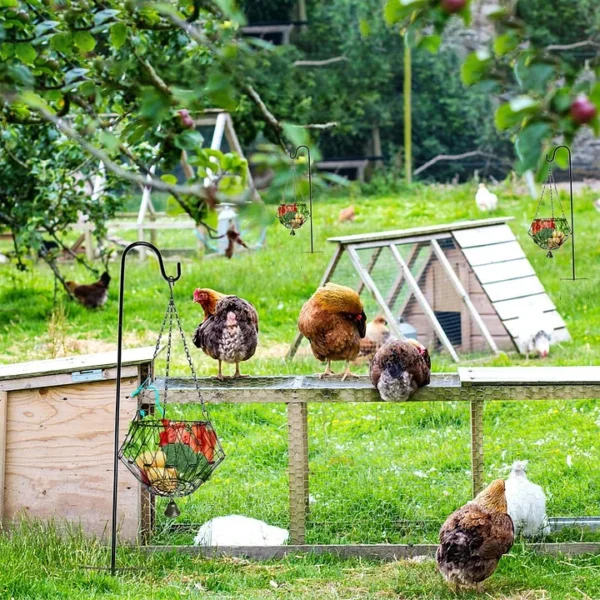 Hanging Chicken Feeding Station, Veggie Treat Ball Boredom Toys for Chicken/Hens/Ducks/Quails/Parrots