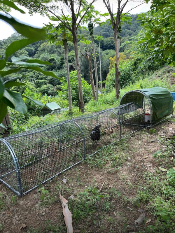 Movable Folding Chicken Tunnel, Modular Assembled Chicken Coop Run