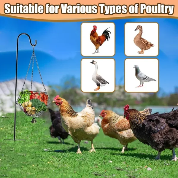 Hanging Chicken Feeding Station, Veggie Treat Ball Boredom Toys for Chicken/Hens/Ducks/Quails/Parrots