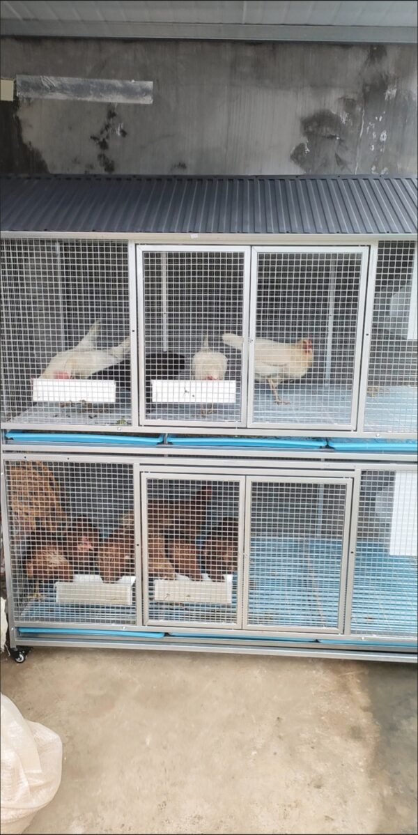 Sturdy Rust-Proof Chicken Coop with Brake Casters - Large Space Chicken Villa w/ Egg Laying Area, Stainless Steel Trough for Chickens, Ducks, Rabbits & Small Poultry