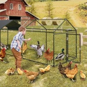 Large Metal Chicken Coop, Chicken Run With Cover