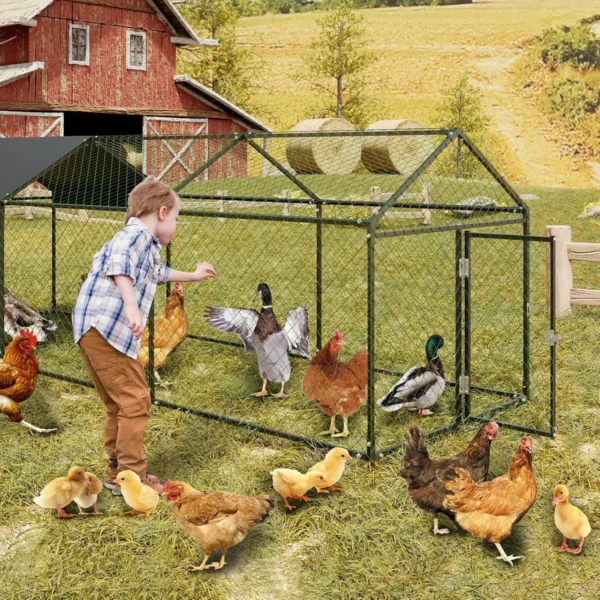 Large Metal Chicken Coop, Chicken Run With Cover