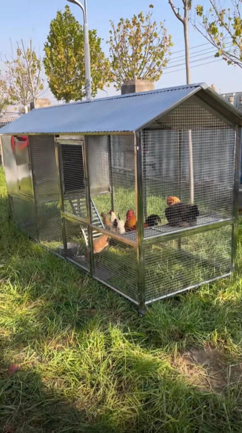 Mobile Metal Ecological Free-Ranging Free-range Chicken Coop