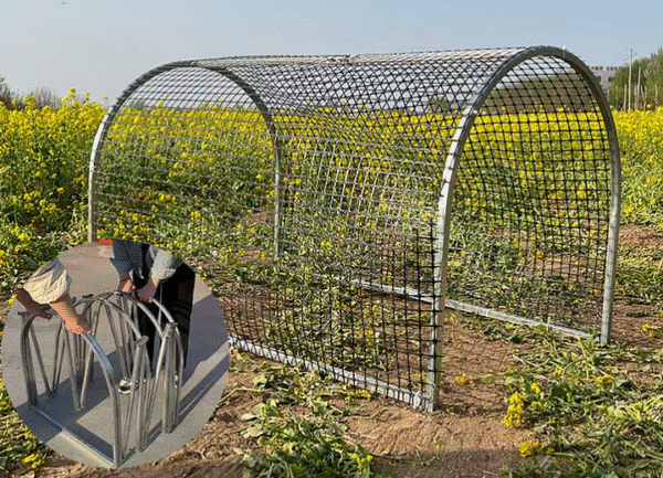 Movable Folding Chicken Tunnel, Modular Assembled Chicken Coop Run