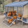 Mobile Metal Chicken Coop for Backyard, Balcony & Outdoor Free-Ranging