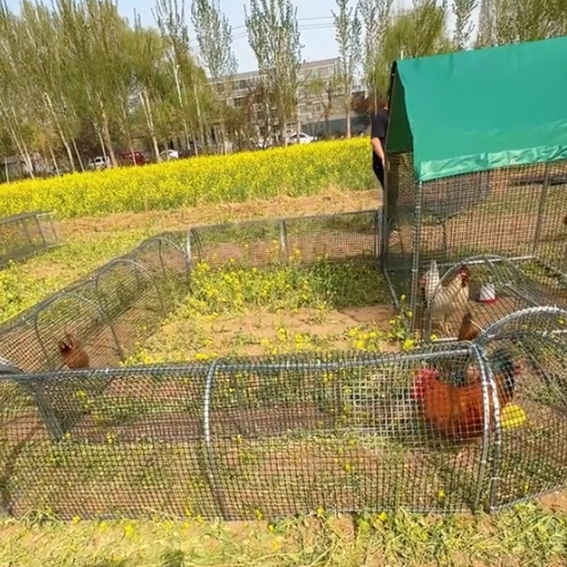 Movable Folding Chicken Tunnel, Modular Assembled Chicken Coop Run
