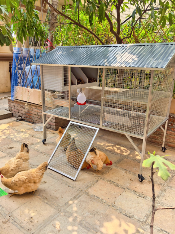 Mobile Metal Chicken Coop for Backyard, Balcony & Outdoor Free-Ranging