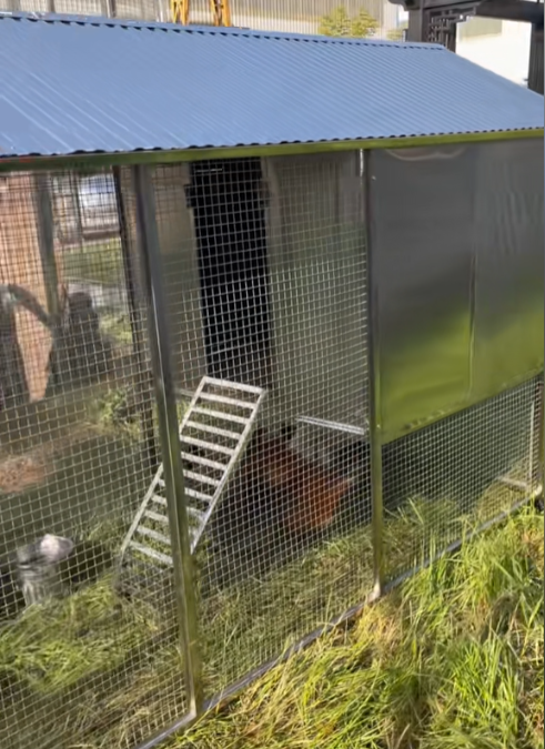 Mobile Metal Ecological Free-Ranging Free-range Chicken Coop