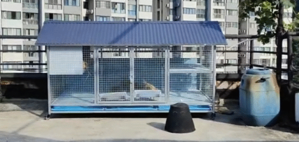 Sturdy Rust-Proof Chicken Coop with Brake Casters - Large Space Chicken Villa w/ Egg Laying Area, Stainless Steel Trough for Chickens, Ducks, Rabbits & Small Poultry