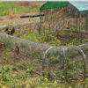 Movable Folding Chicken Tunnel, Modular Assembled Chicken Coop Run