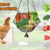 Hanging Chicken Feeding Station, Veggie Treat Ball Boredom Toys for Chicken/Hens/Ducks/Quails/Parrots