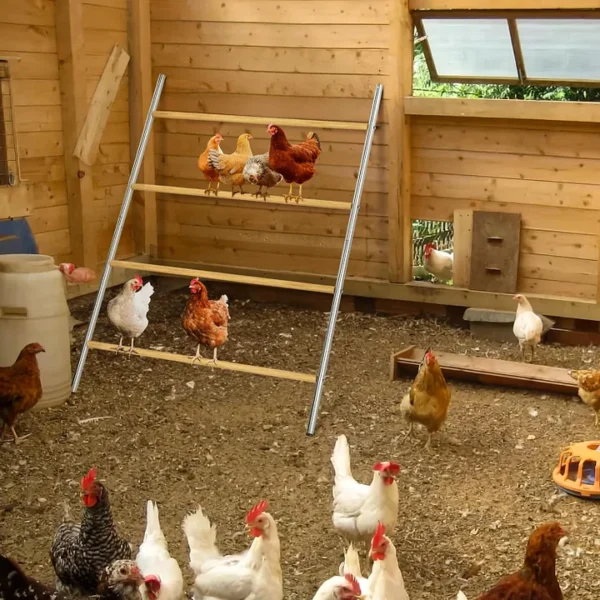 Chicken Coop Roosting Perch Essentials：Perfect for Backyard Poultry, Easy Installation &,Farm Roost Toys for Chickens