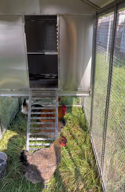 Mobile Metal Ecological Free-Ranging Free-range Chicken Coop