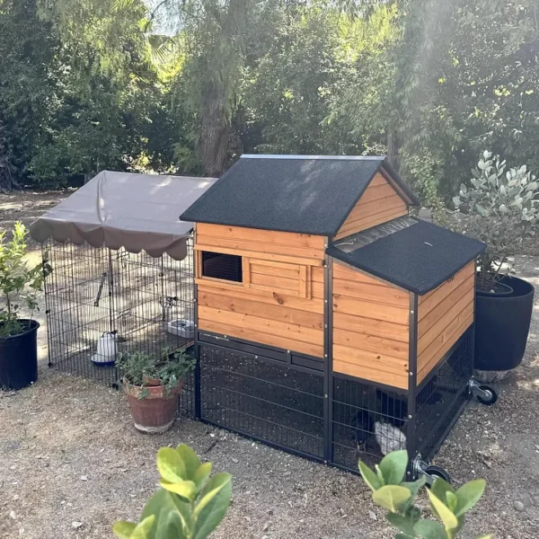 Mobile All-Around Iron Frame Automatic Door Chicken Coop