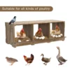 Chicken Nesting Boxes, Compartment Nest Box Wall Mount