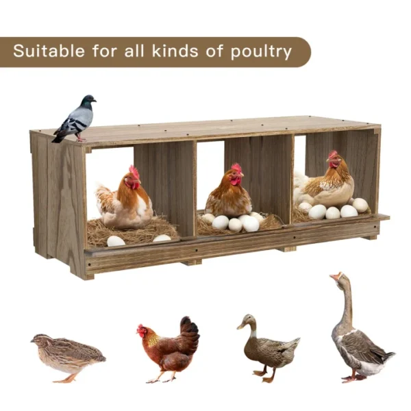 Chicken Nesting Boxes, Compartment Nest Box Wall Mount