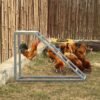 Chicken Coop Roosting Perch Essentials：Perfect for Backyard Poultry, Easy Installation
