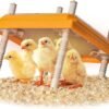 15W Brooder Heater, Adjustable Height And Angle, For 15 Chicks