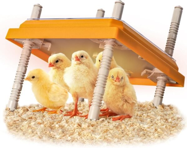 15W Brooder Heater, Adjustable Height And Angle, For 15 Chicks