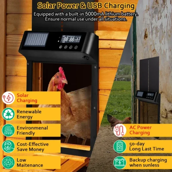 Automatic Chicken Coop Door