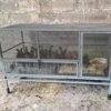 Portable Foldable Large Chicken Coop Runs Poultry Cage for Yard, Outdoor, Indoor