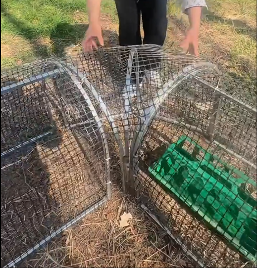 Movable Folding Chicken Tunnel, Modular Assembled Chicken Coop Run