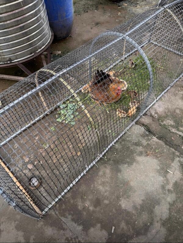 Movable Folding Chicken Tunnel, Modular Assembled Chicken Coop Run